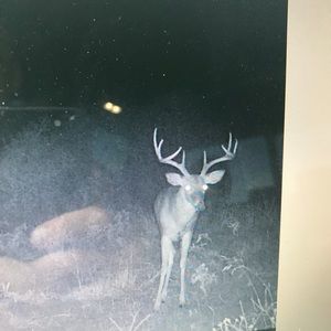 Meet your Posher, Josh